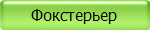 Фокстерьер